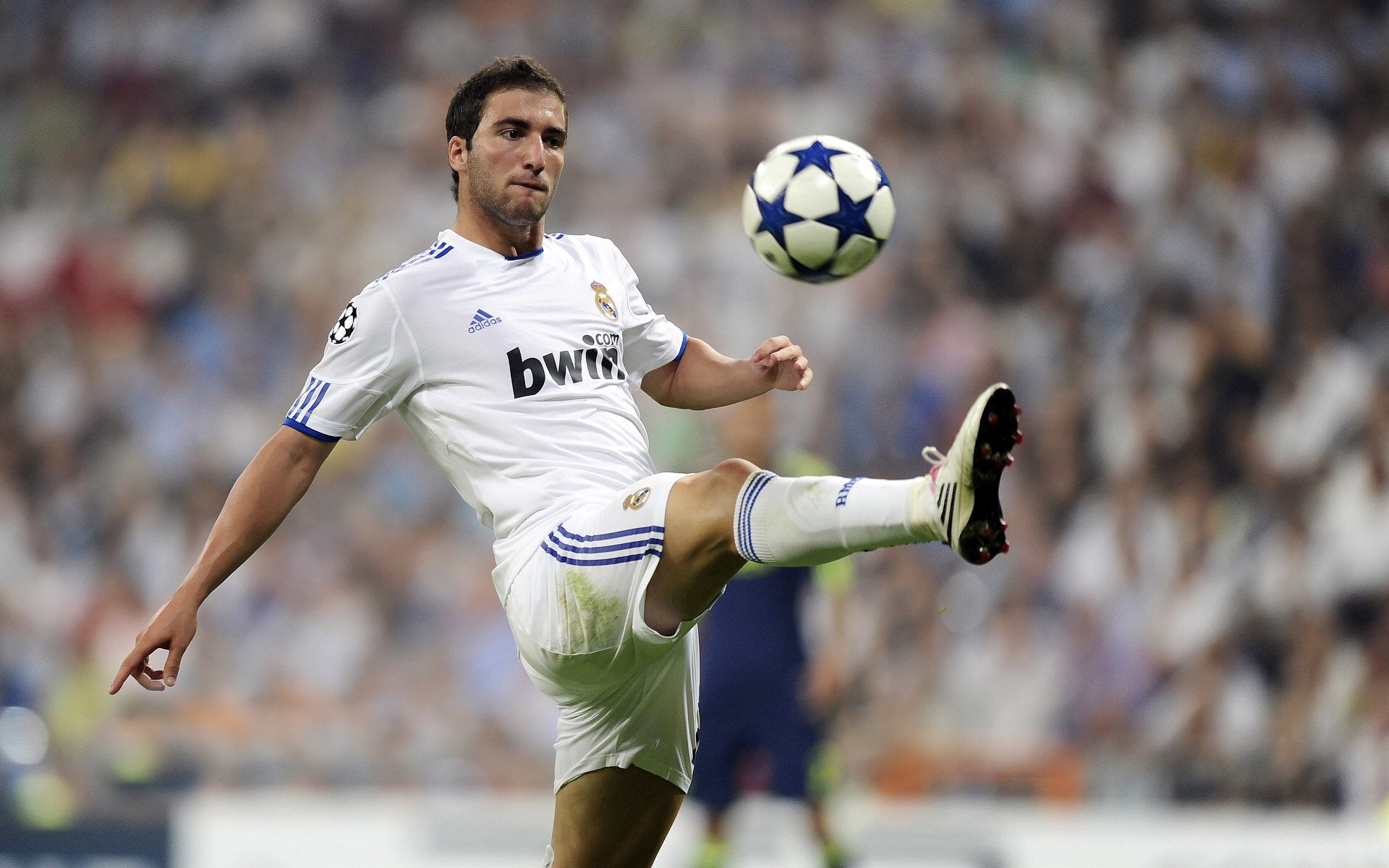 传奇巨星的“冷知识”:你知道他们的趣事吗?,传奇的巨星是谁